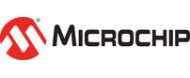 Micrel / Microchip Technology